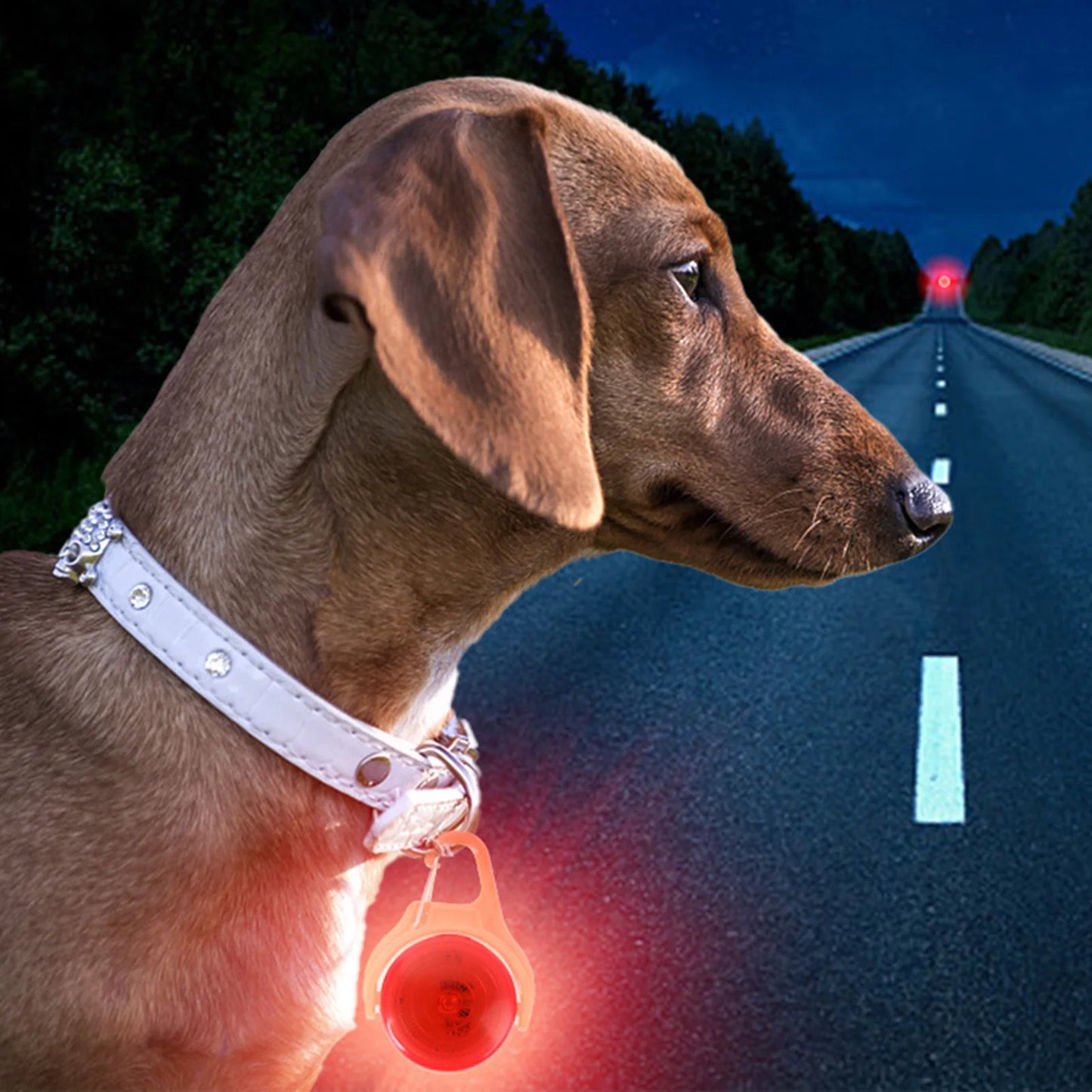 Collar Guard GlowClip™ - Clip-On LED Safety Light